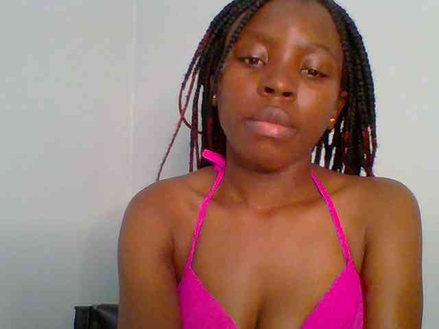 chocolate-brownie webcam