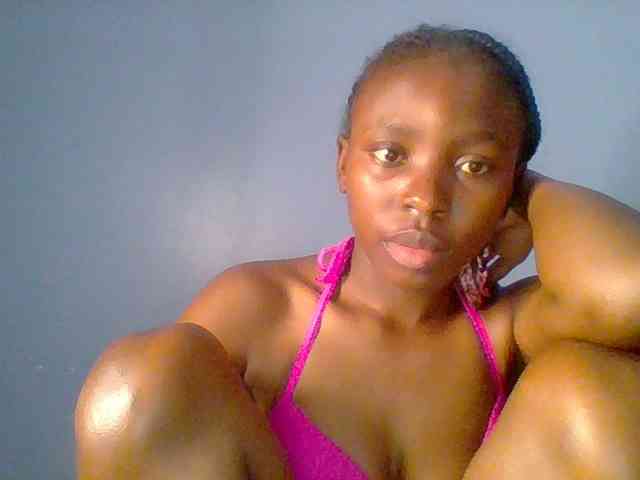 chocolate-brownie webcam