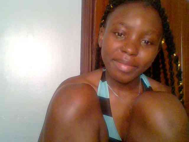 chocolate-brownie webcam