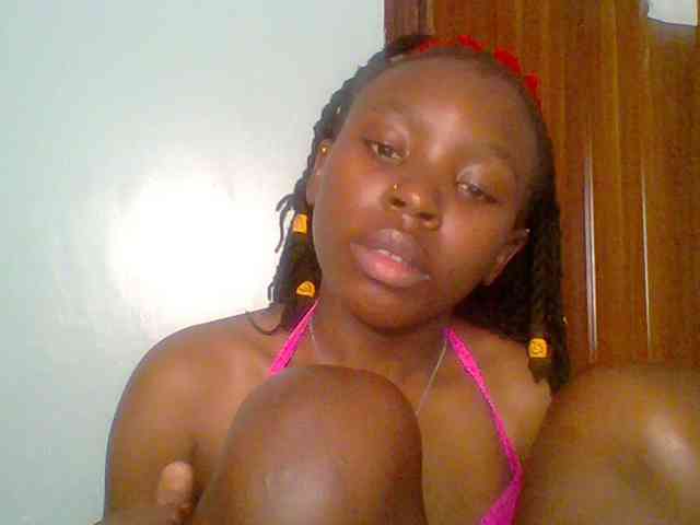 chocolate-brownie webcam