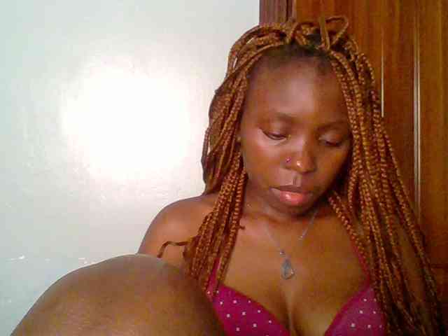 chocolate-brownie webcam