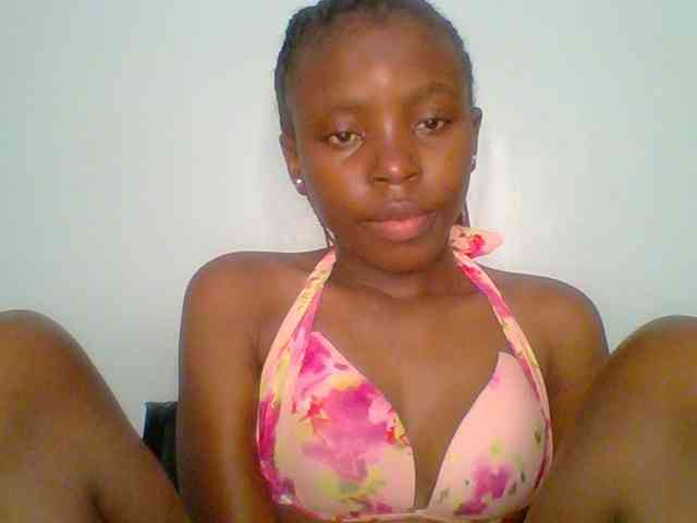 chocolate-brownie webcam