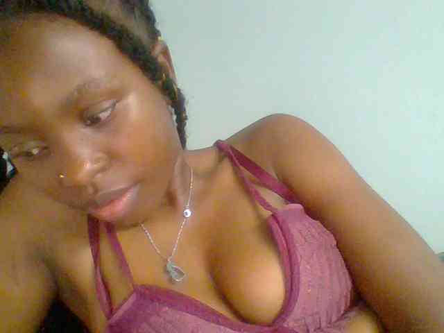 chocolate-brownie webcam