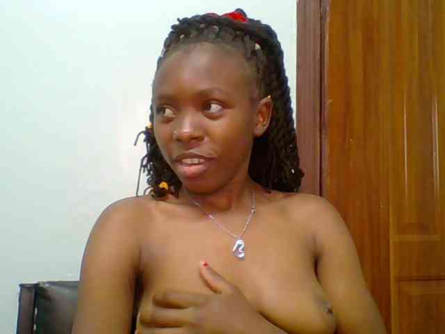 chocolate-brownie webcam