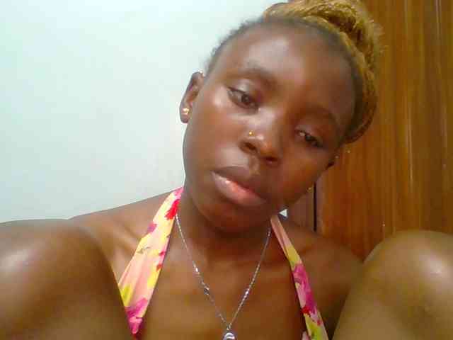 chocolate-brownie webcam