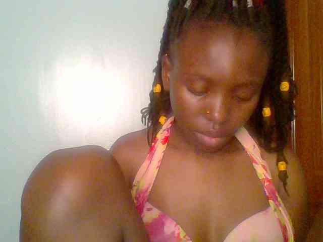 chocolate-brownie webcam