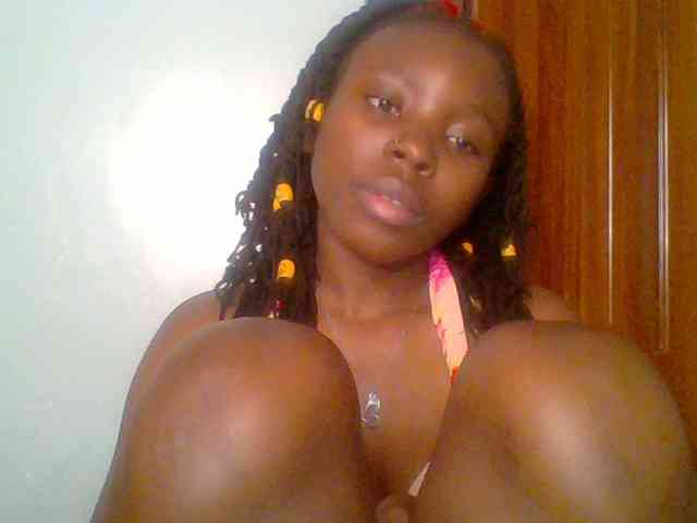 chocolate-brownie webcam