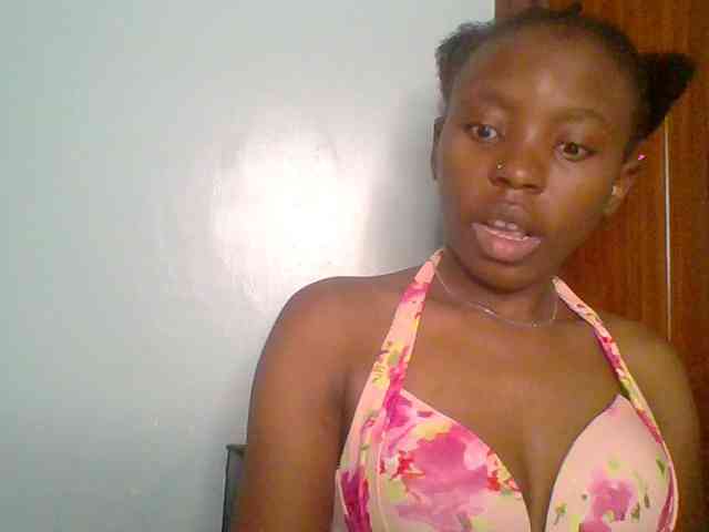 chocolate-brownie webcam