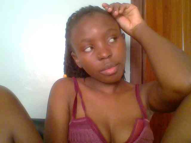 chocolate-brownie webcam