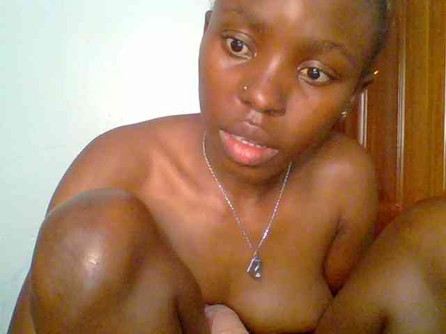 chocolate-brownie webcam