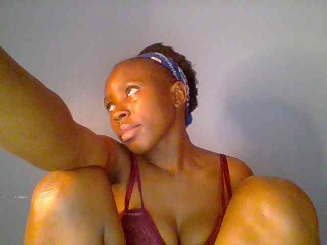 chocolate-brownie webcam
