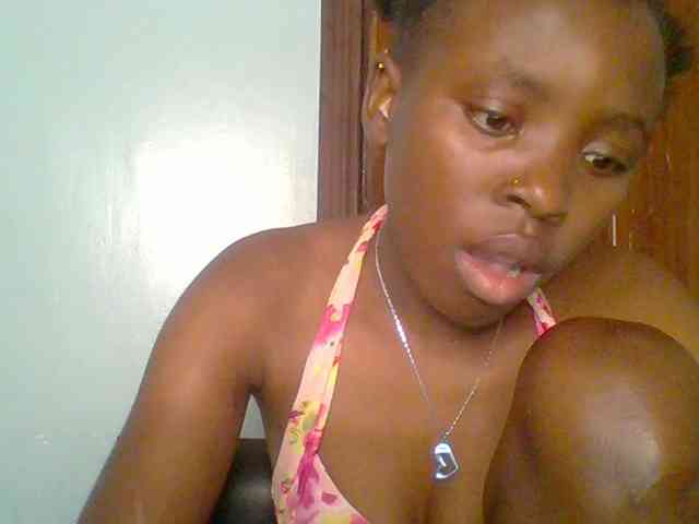 chocolate-brownie webcam