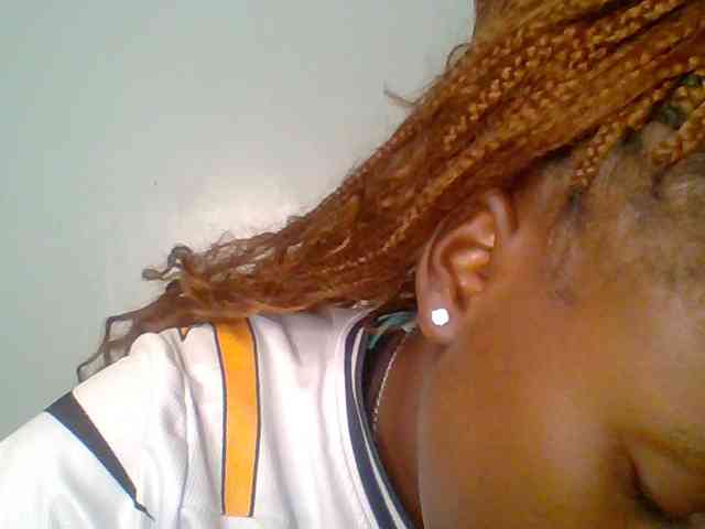 chocolate-brownie webcam