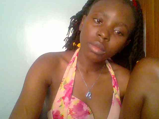 chocolate-brownie webcam