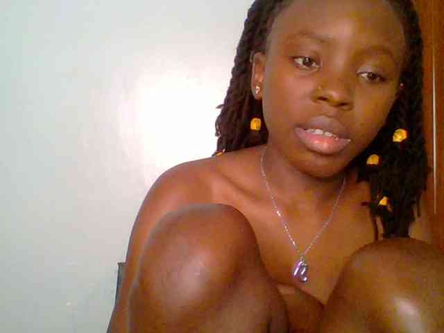 chocolate-brownie webcam