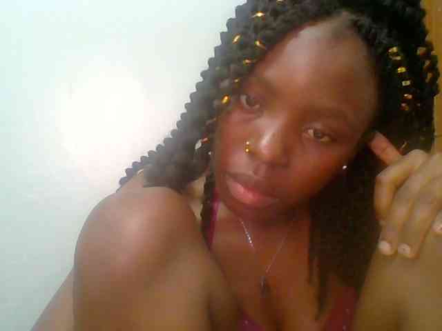 chocolate-brownie webcam