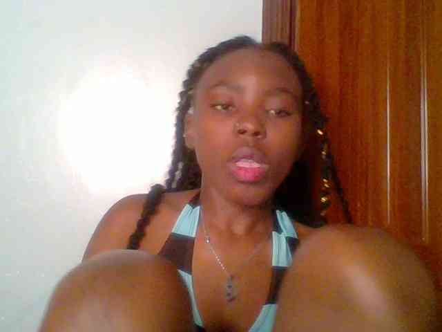 chocolate-brownie webcam