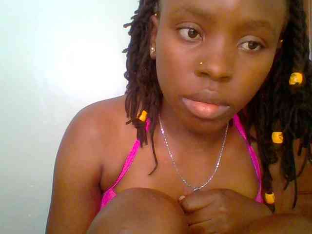 chocolate-brownie webcam