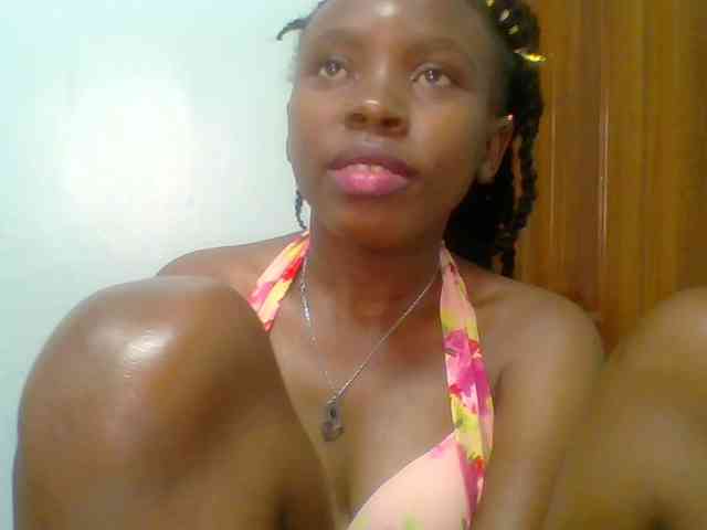 chocolate-brownie webcam