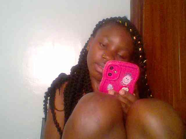 chocolate-brownie webcam