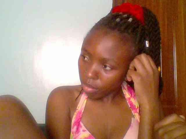 chocolate-brownie webcam