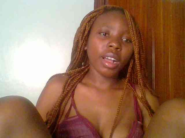 chocolate-brownie webcam