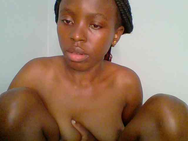 chocolate-brownie webcam