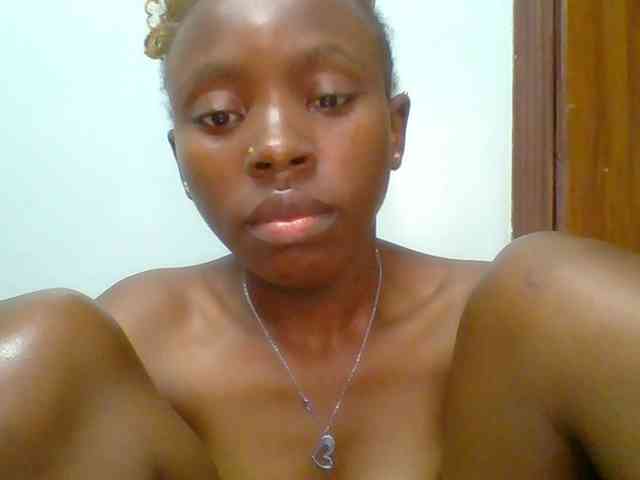 chocolate-brownie webcam