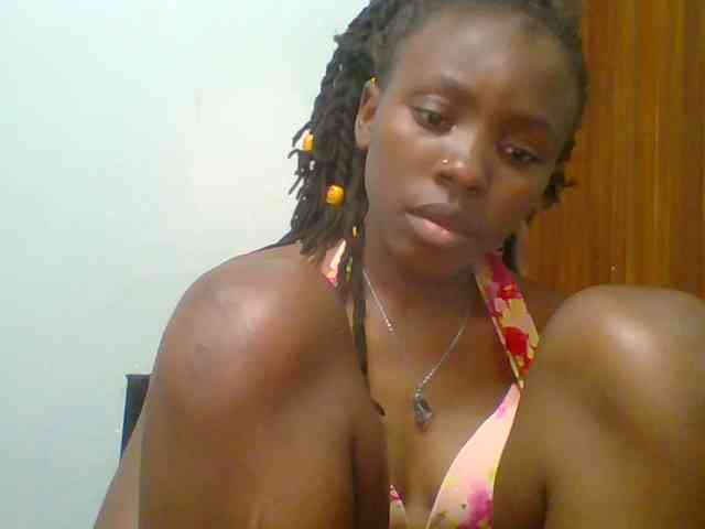 chocolate-brownie webcam