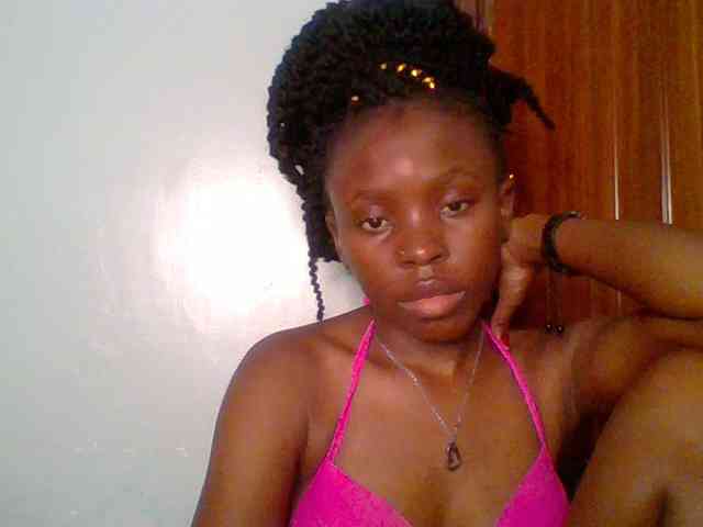 chocolate-brownie webcam