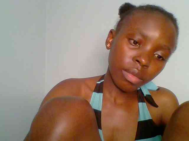 chocolate-brownie webcam