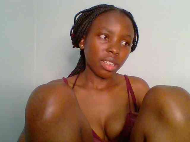 chocolate-brownie webcam