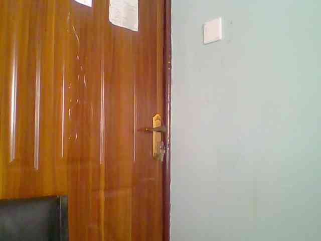 chocolate-brownie webcam