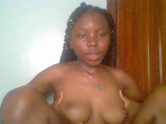 chocolate-brownie webcam