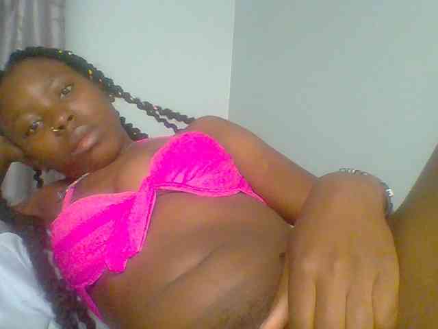 chocolate-brownie webcam