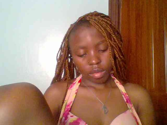 chocolate-brownie webcam