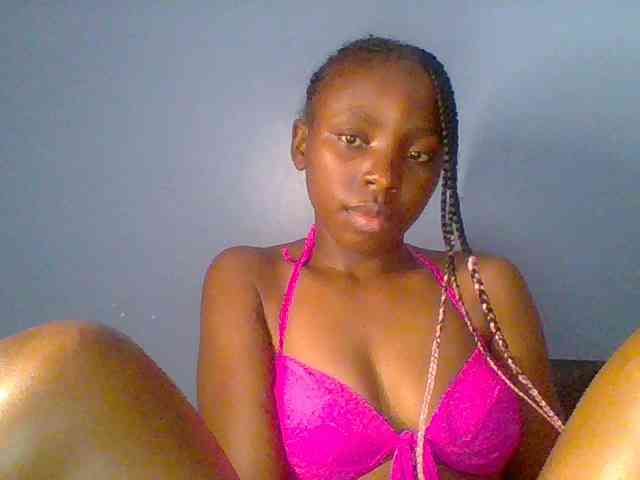 chocolate-brownie webcam