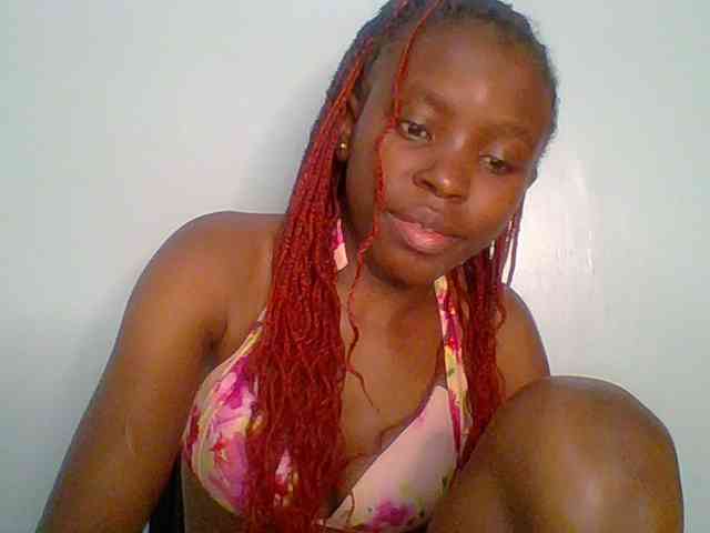 chocolate-brownie webcam