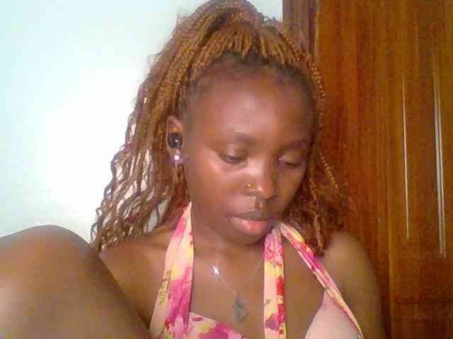 chocolate-brownie webcam