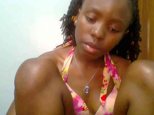 chocolate-brownie webcam