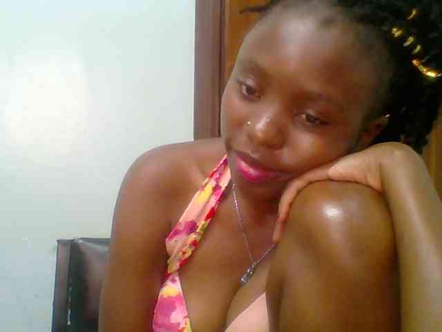 chocolate-brownie webcam