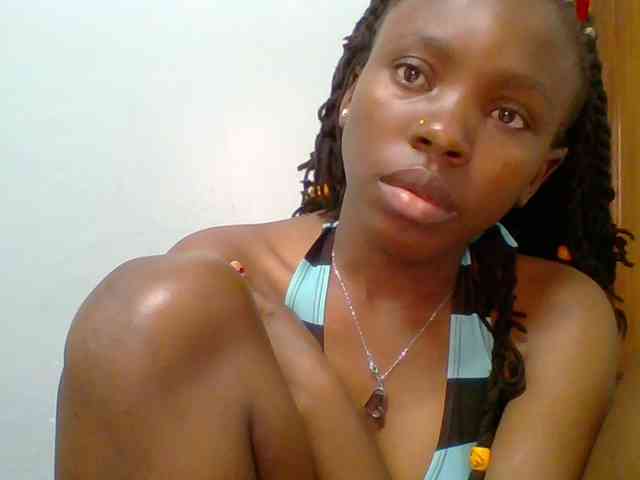 chocolate-brownie webcam