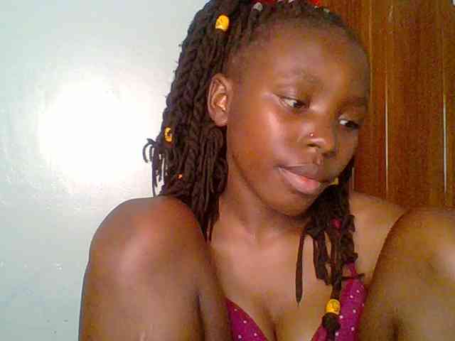 chocolate-brownie webcam