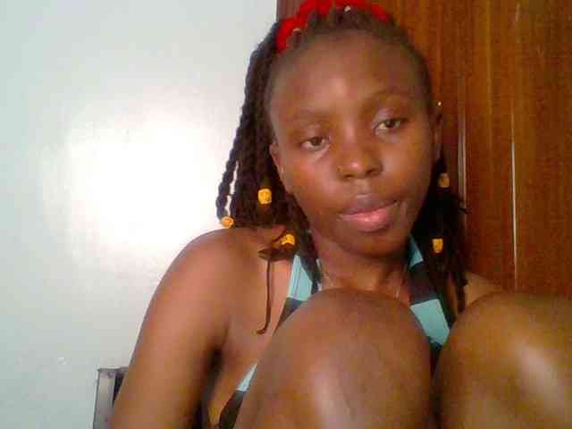 chocolate-brownie webcam