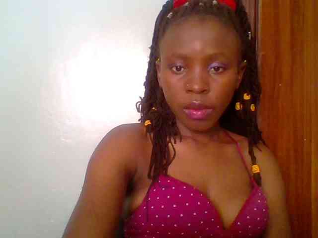 chocolate-brownie webcam