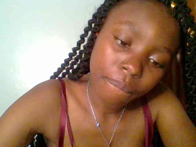 chocolate-brownie webcam