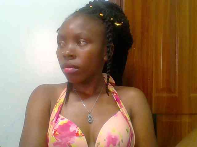 chocolate-brownie webcam