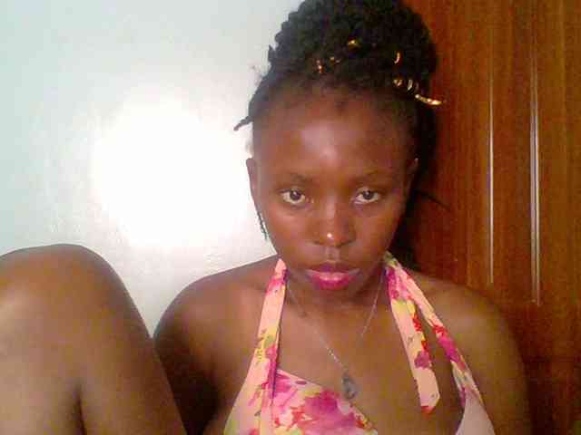 chocolate-brownie webcam