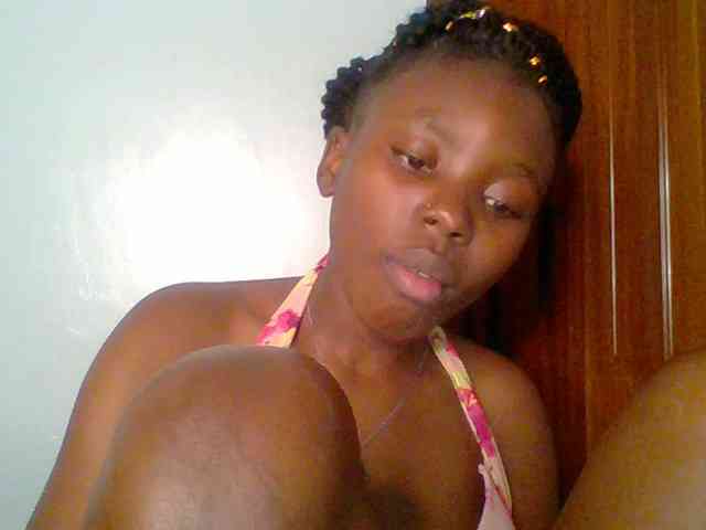 chocolate-brownie webcam