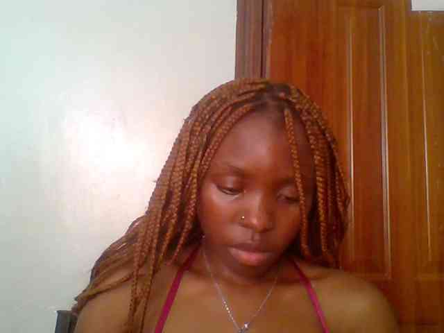 chocolate-brownie webcam